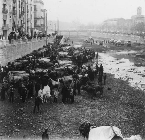 1912 - Mercat de bous - Girona