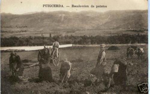 1910 - Collint trumfes - Puigcerdà - Cerdanya